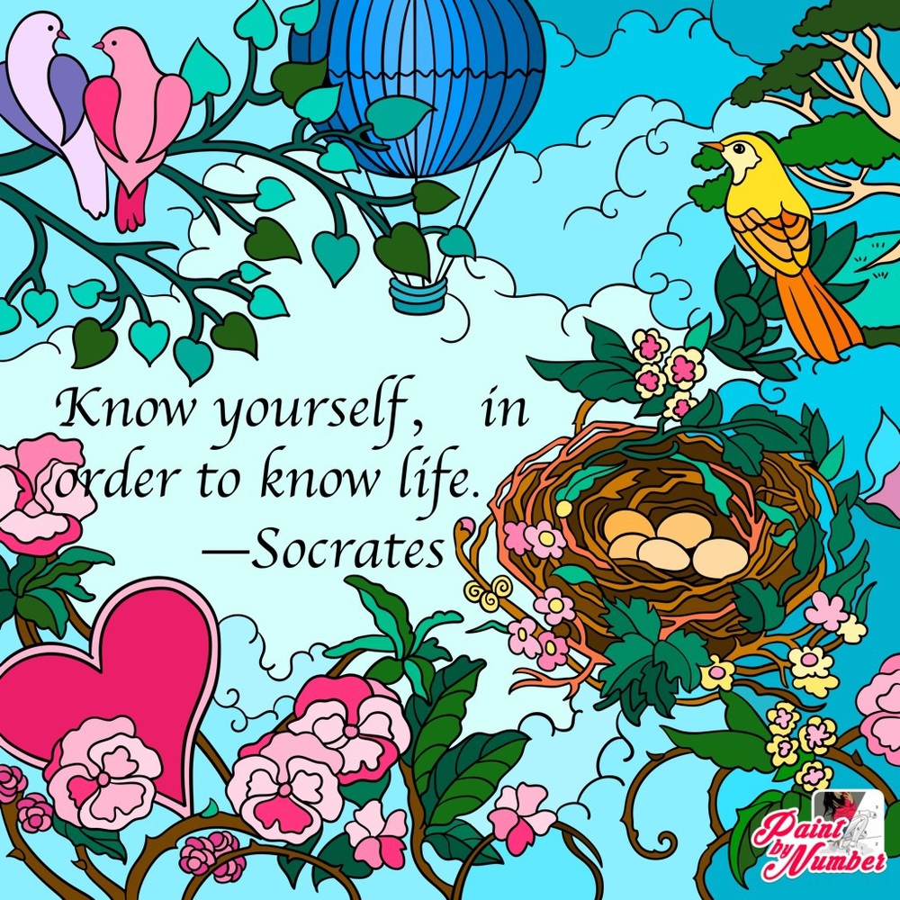 Meet your Posher, Carlysa